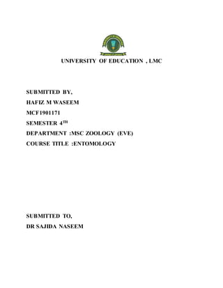 UNIVERSITY OF EDUCATION , LMC
SUBMITTED BY,
HAFIZ M WASEEM
MCF1901171
SEMESTER 4TH
DEPARTMENT :MSC ZOOLOGY (EVE)
COURSE TITLE :ENTOMOLOGY
SUBMITTED TO,
DR SAJIDA NASEEM
 