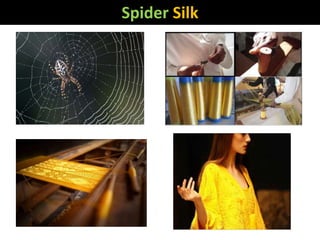 Spider Silk
 