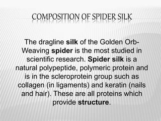Dragline Spider-Silk: Biomimicry and Properties 