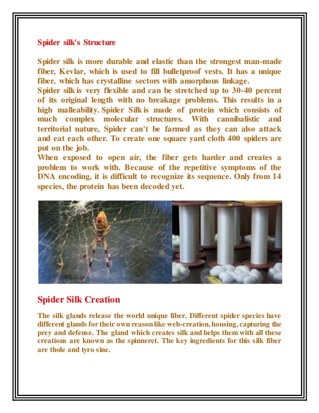 Spider silk structure, creation & application