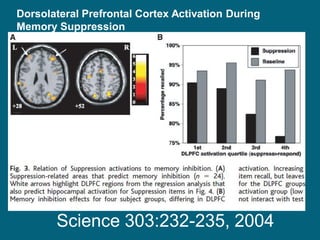 Science 303:232-235, 2004 
Dorsolateral Prefrontal Cortex Activation During 
Memory Suppression 
 
