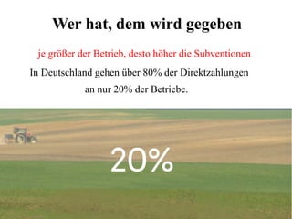 Wer hat, dem wird gegeben 
je größer der Betrieb, desto höher die Subventionen 
In Deutschland gehen über 80% der Direktzahlungen 
an nur 20% der Betriebe. 
 