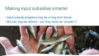 • Input subsidy programs may be a long-term fixture
• But can they be refined – can they really be “smarter”?
Making input...