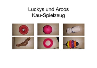 Luckys und Arcos
Kau Spielzeug

 