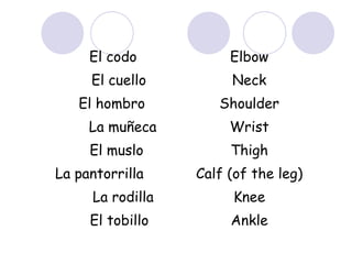 El codo Elbow El cuello Neck El hombro Shoulder La muñeca Wrist El muslo Thigh La pantorrilla Calf (of the leg) La rodilla Knee El tobillo Ankle 