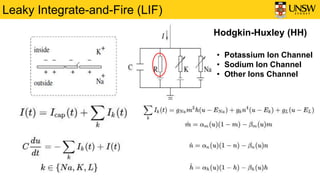 Leaky Integrate-and-Fire (LIF)
• Potassium Ion Channel
• Sodium Ion Channel
• Other Ions Channel
Hodgkin-Huxley (HH)
 