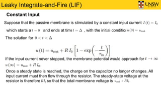 Leaky Integrate-and-Fire (LIF)
Constant Input
Suppose that the passive membrane is stimulated by a constant input current
which starts at and ends at time , with the initial condition
The solution for
If the input current never stopped, the membrane potential would approach for
Once a steady state is reached, the charge on the capacitor no longer changes. All
input current must then flow through the resistor. The steady-state voltage at the
resistor is therefore so that the total membrane voltage is
 