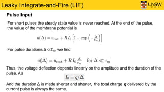 Leaky Integrate-and-Fire (LIF)
Pulse Input
For short pulses the steady state value is never reached. At the end of the pulse,
the value of the membrane potential is
For pulse durations Δ ≪τm, we find
Thus, the voltage deflection depends linearly on the amplitude and the duration of the
pulse. As
And the duration Δ is made shorter and shorter, the total charge q delivered by the
current pulse is always the same.
 