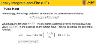Leaky Integrate-and-Fire (LIF)
Pulse Input
Interestingly, the voltage deflection at the end of the pulse remains unaltered.
What happens for times The membrane potential evolves from its new initial
value in the absence of any further input. Then we could use the zero input
function:
 