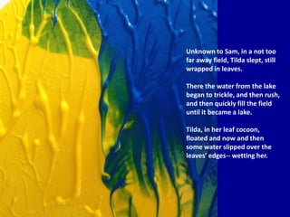 Unknown to Sam, in a not too
far away field, Tilda slept, still
wrapped in leaves.
There the water from the lake
began to trickle, and then rush,
and then quickly fill the field
until it became a lake.
Tilda, in her leaf cocoon,
floated and now and then
some water slipped over the
leaves’ edges-- wetting her.
 