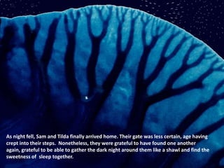 As night fell, Sam and Tilda finally arrived home. Their gate was less certain, age having
crept into their steps. Nonetheless, they were grateful to have found one another
again, grateful to be able to gather the dark night around them like a shawl and find the
sweetness of sleep together.
 