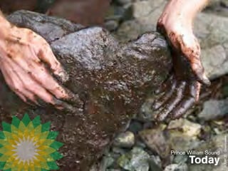 SOURCE: Greenpeace
Prince William Sound
       Today
 