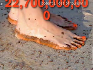 $
    22,700,000,00
         potential loss of tourism


          0




                                     PHOTO: Montgomery Advertiser-David Bundy
 