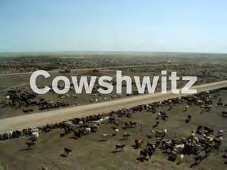 Cowshwitz
 