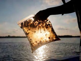 PHOTO: Reuters / Carlos Barria
 