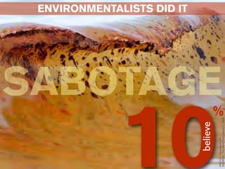 ENVIRONMENTALISTS DID IT




            believe
10
PHOTO: Dave Martin/AP
                                         SABOTAGE
                                    %




SOURCE: The Week Poll, January 7, 2005
 
