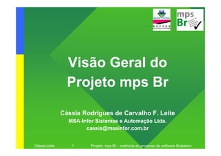 Visão Geral do
                 Projeto mps Br

               Cássia Rodrigues de Carvalho F. Leite
                 MSA-...