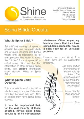shinecharity.org.uk
                                                 info@shinecharity.org.uk
                                                           42 Park Road
                                                           Peterborough
                                                               PE1 2UQ
                                                          01733 555988




Spina Bifida Occulta

What is Spina Bifida?                   whatsoever. Often people only
                                        become aware that they have
Spina bifida (meaning split spine) is   spina bifida occulta after having
a fault in the spinal column in which   a back x-ray for an unrelated
one or more vertebrae (the bones        problem.
which form the backbone) fail to
form properly. This leaflet is about    However, for a few (about 1 in
the “hidden” form of spina bifida       1,000) there can be associated
called spina bifida occulta. For        problems.
information on other forms of spina                     The outer part of
bifida, see Shine’s information                           the vertebrae is
sheet number ‘What is Spina                                not completely
Bifida’.                                                       joined. The
                                                          spinal cord and
What is Spina Bifida 	                                   its covering (the
Occulta?                                                    meninges) are
                                                              undamaged
This is a mild form of spina bifida
which is very common. Estimates                             Hair (or dimple)
vary but between 5% and 10%                                  often at site of
of people may have spina bifida                                       defect
occulta.
                                                                            Skin
It must be emphasised that,
for the vast majority of those
affected, having spina bifida
occulta is of no consequence
 