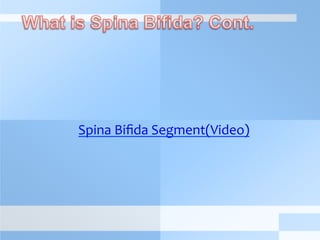  
	
  
	
  
	
  
Spina	
  Biﬁda	
  Segment(Video)	
  
 