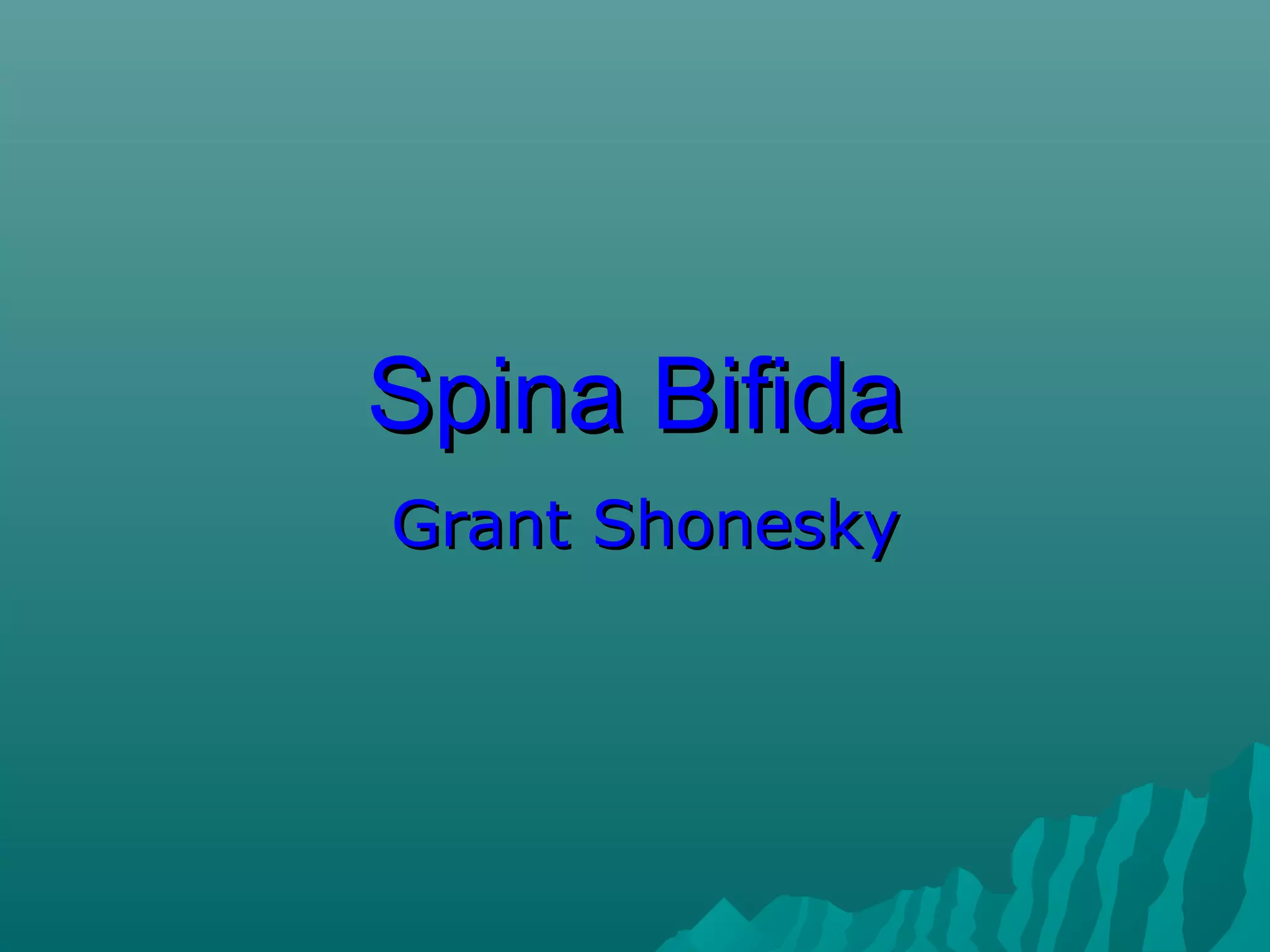 Spina Bifida presentation | PPT