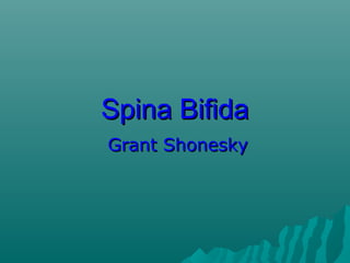 Spina Bifida
Grant Shonesky

 