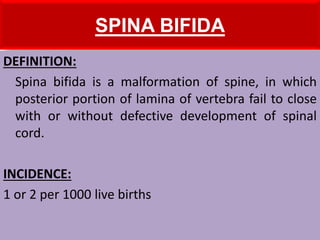 SPINA BIFIDA
DEFINITION:
Spina bifida is a malformation of spine, in which
posterior portion of lamina of vertebra fail to close
with or without defective development of spinal
cord.
INCIDENCE:
1 or 2 per 1000 live births
 