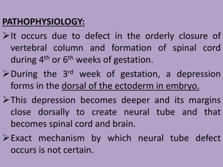 PATHOPHYSIOLOGY:
It occurs due to defect in the orderly closure of
vertebral column and formation of spinal cord
during 4th or 6th weeks of gestation.
During the 3rd week of gestation, a depression
forms in the dorsal of the ectoderm in embryo.
This depression becomes deeper and its margins
close dorsally to create neural tube and that
becomes spinal cord and brain.
Exact mechanism by which neural tube defect
occurs is not certain.
 