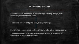 PATHOPHYSIOLOGY
Ectoderm outer most layer of fertilized egg develop a ridge, that
eventually become neural tube.
This neural tube form Spinal cord, Brain, Meninges
Spina bifida occur when a portion of neural tube fail to close properly .
This lead to defect or absence of vertebral arches to do failure of
mesoderm to organize the defect.
 