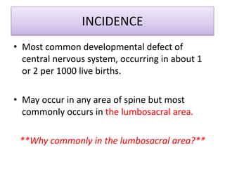 INCIDENCE
• Most common developmental defect of
central nervous system, occurring in about 1
or 2 per 1000 live births.
• May occur in any area of spine but most
commonly occurs in the lumbosacral area.
**Why commonly in the lumbosacral area?**
 