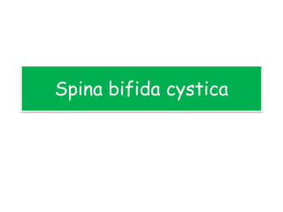 Spina bifida cystica
 