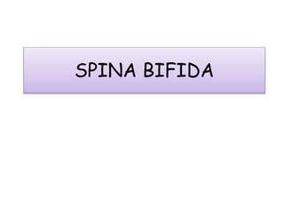 SPINA BIFIDA
 