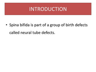 INTRODUCTION
• Spina bifida is part of a group of birth defects
called neural tube defects.
 