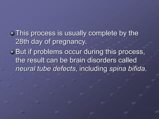 This process is usually complete by the
28th day of pregnancy.
But if problems occur during this process,
the result can be brain disorders called
neural tube defects, including spina bifida.
 