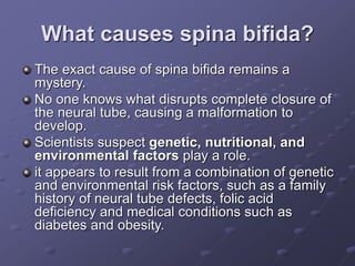 What causes spina bifida?
The exact cause of spina bifida remains a
mystery.
No one knows what disrupts complete closure of
the neural tube, causing a malformation to
develop.
Scientists suspect genetic, nutritional, and
environmental factors play a role.
it appears to result from a combination of genetic
and environmental risk factors, such as a family
history of neural tube defects, folic acid
deficiency and medical conditions such as
diabetes and obesity.
 