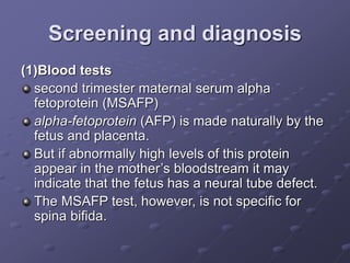 Screening and diagnosis
(1)Blood tests
second trimester maternal serum alpha
fetoprotein (MSAFP)
alpha-fetoprotein (AFP) is made naturally by the
fetus and placenta.
But if abnormally high levels of this protein
appear in the mother’s bloodstream it may
indicate that the fetus has a neural tube defect.
The MSAFP test, however, is not specific for
spina bifida.
 