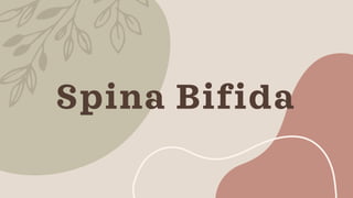 Spina Bifida
 