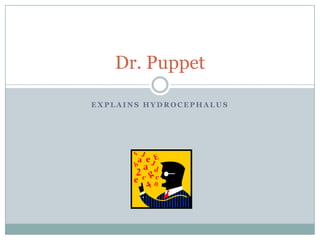 Explains HydrocephalusDr. Puppet