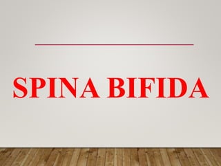 SPINA BIFIDA
 