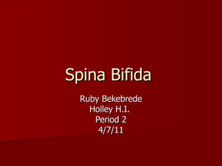 Spina Bifida  Ruby Bekebrede Holley H.I.  Period 2 4/7/11 
