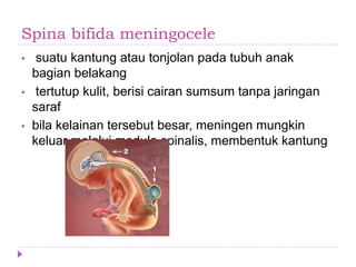 Spina bifida meningocele
• suatu kantung atau tonjolan pada tubuh anak
bagian belakang
• tertutup kulit, berisi cairan sumsum tanpa jaringan
saraf
• bila kelainan tersebut besar, meningen mungkin
keluar melalui medula spinalis, membentuk kantung
 