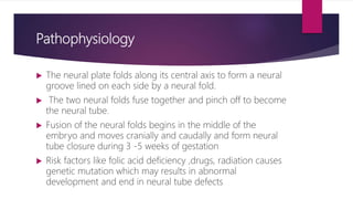 Pathophysiology
 The neural plate folds along its central axis to form a neural
groove lined on each side by a neural fold.
 The two neural folds fuse together and pinch off to become
the neural tube.
 Fusion of the neural folds begins in the middle of the
embryo and moves cranially and caudally and form neural
tube closure during 3 -5 weeks of gestation
 Risk factors like folic acid deficiency ,drugs, radiation causes
genetic mutation which may results in abnormal
development and end in neural tube defects
 