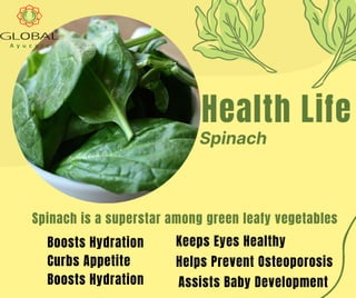Spinach is a superstar among green leafy vegetables.pdf