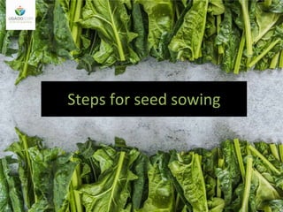 Spinach sowing instructions.pptx