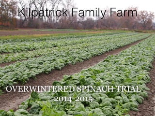 Kilpatrick Family Farm
OVERWINTERED SPINACH TRIAL
2014-2015
 