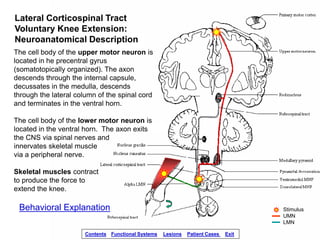 spinal-cord-injury-lesions.ppsx