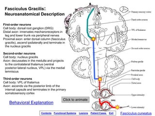 spinal-cord-injury-lesions.ppsx