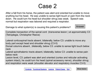 4 Fall Reeve System spinal-cord-injury-lesions.ppsx