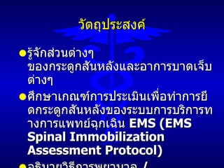 Spinal Injury (Thai) | PPT