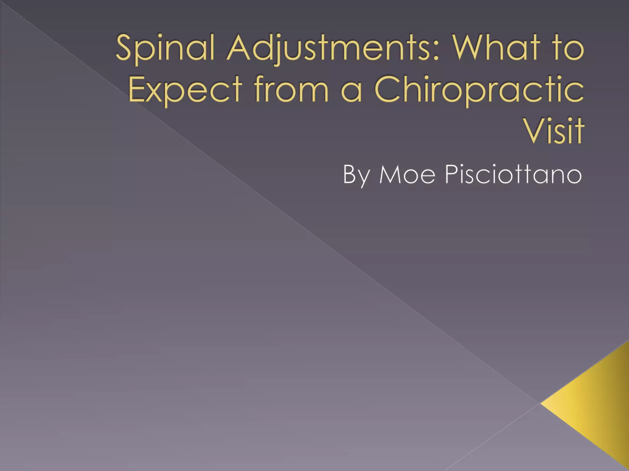 Spinal Adjustments What to Expect from a Chiropractic Visit PPT