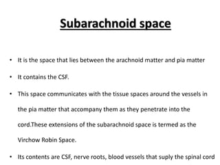Subarachnoid space
• It is the space that lies between the arachnoid matter and pia matter
• It contains the CSF.
• This space communicates with the tissue spaces around the vessels in
the pia matter that accompany them as they penetrate into the
cord.These extensions of the subarachnoid space is termed as the
Virchow Robin Space.
• Its contents are CSF, nerve roots, blood vessels that suply the spinal cord
 